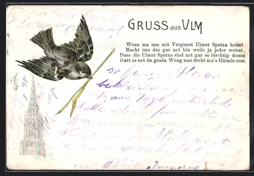 Künstler-AK Ulm / Donau, Ulmer Spatz mit Halm im Schnabel