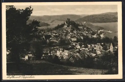 AK Pappenheim / Bayern, Ortsansicht von der Weide aus