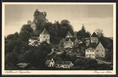 AK Pappenheim / Bayern, Burgansicht von Osten