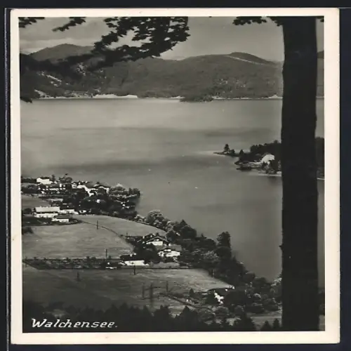 AK Walchensee, Ortsansicht mit Bergen