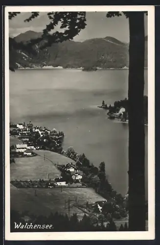 AK Walchensee, Ortsansicht mit Bergen