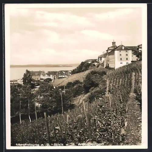 AK Meersburg a. B., Blick von den Weinbergen