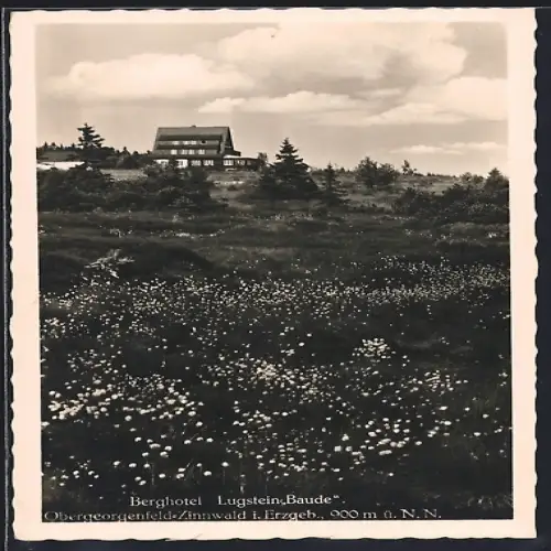 AK Obergeorgenfeld-Zinnwald i. Erzgeb., Berghotel Lugstein-Baude
