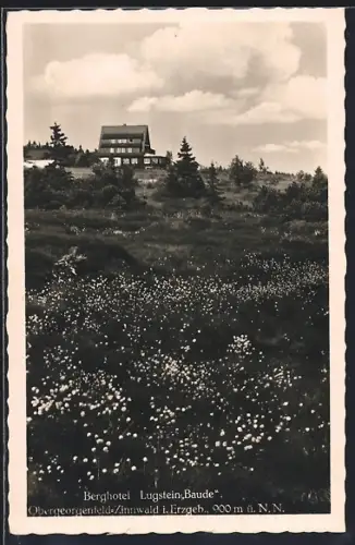 AK Obergeorgenfeld-Zinnwald i. Erzgeb., Berghotel Lugstein-Baude
