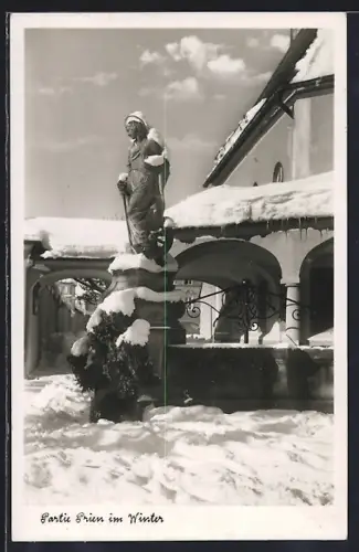 AK Prien, Ortsansicht im Winter