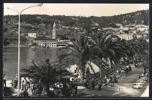 AK Hvar, Palmen an der Küste