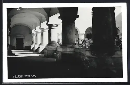 AK Slav. Brod, Säulengang