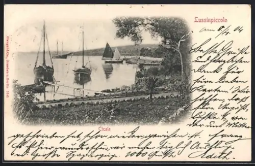 AK Lussinpiccolo, Cicale