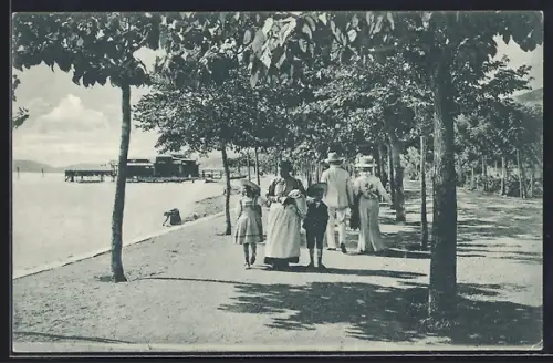 AK Crikvenica, Panorama