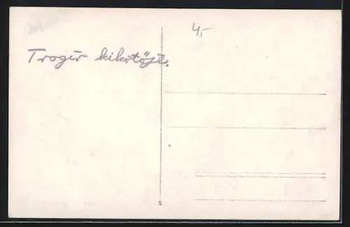 AK Trogir, Panorama mit Dampfer