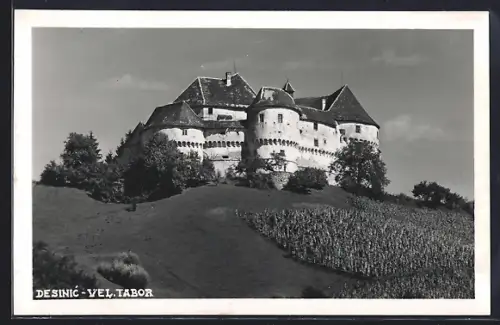 AK Desinic, Vel. Tabor