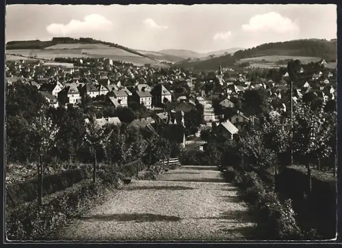 AK Meschede /Ruhr, Blüh mit Strassenpartie vom Königsmünster aus