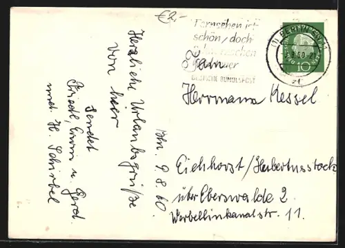 AK Berlin-Dahlem, Im Botanischen Garten