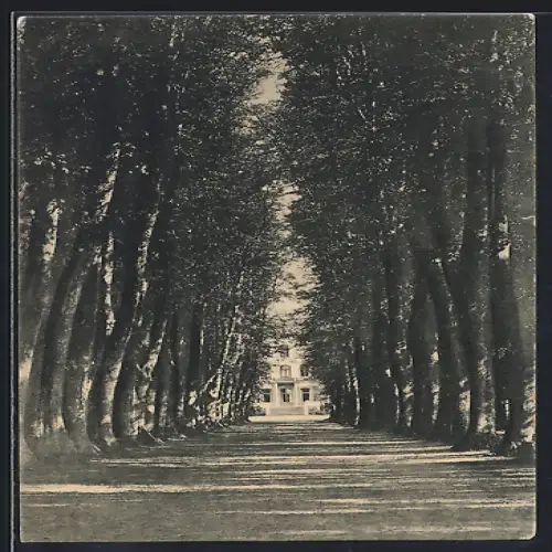 AK Ascheberg / Schwiddeldei, Partie im Park
