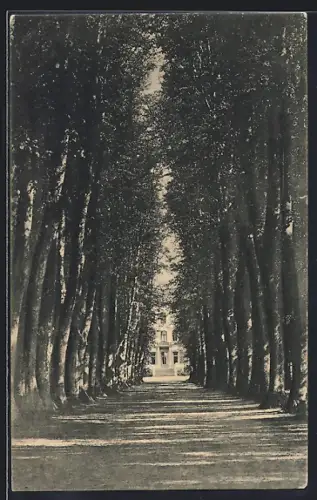 AK Ascheberg / Schwiddeldei, Partie im Park