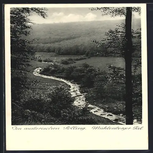 AK Mühlenberg /Solling, Malerische Waldpartie mit kleinem Bach