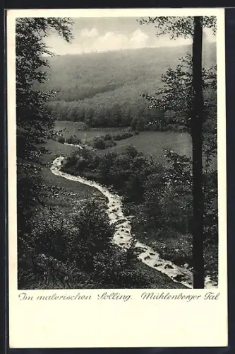 AK Mühlenberg /Solling, Malerische Waldpartie mit kleinem Bach
