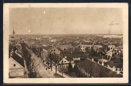 AK Sremska Mitrovica, Pogled na Mitrovicu