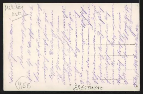 Foto-AK Brestovac, Soldaten in Uniform Weihnachten 1915