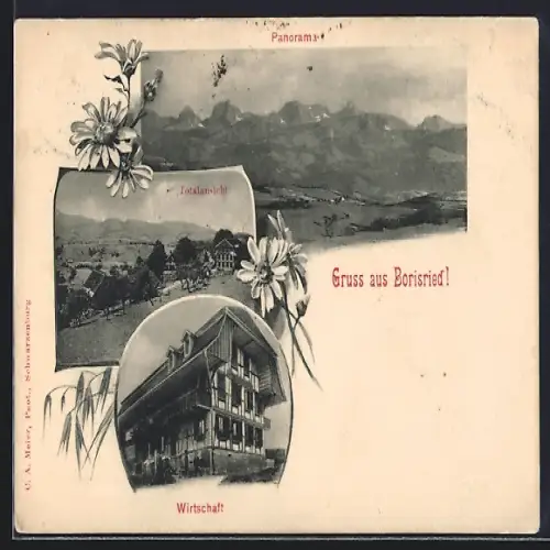 AK Oberbalm, Gruss aus Borisried, Gasthaus und Ortspanorama
