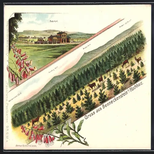 Lithographie Benneckenstein, Bahnhof aus der Ferne, Blick in die unliegende Landschaft