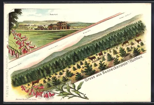 Lithographie Benneckenstein, Bahnhof aus der Ferne, Blick in die unliegende Landschaft