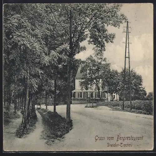 AK Dresden-Trachau, Bergrestaurant, Panorama mit Strasse und Waldwegen