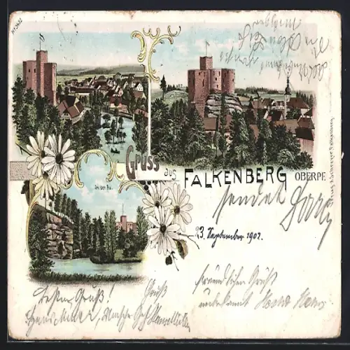 Lithographie Falkenberg / Opf., Gesamtansicht, In der Au