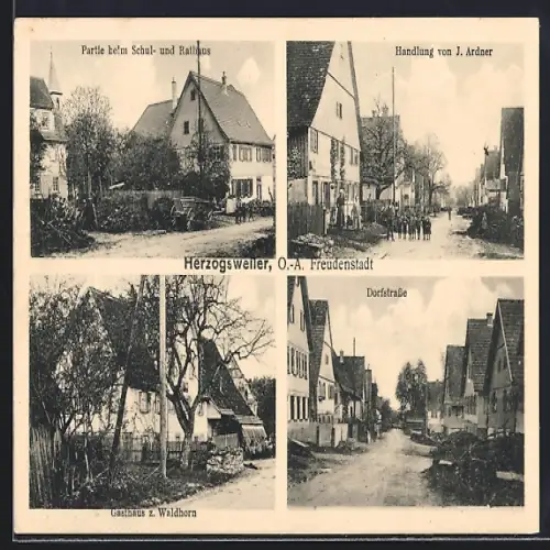 AK Herzogsweiler /O.-A., Gasthaus z. Waldhorn, Handlung v. J. Ardner, Schul- und Rathaus