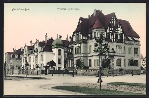 AK Dresden-Gruna, Partie in der Winterberg-Strasse