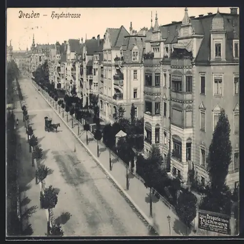 AK Dresden, Bürgerhäuser an der Haydnstrasse