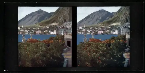 Stereo-Fotografie Chromoplast No. 17, Ansicht Limone, der Ort gegen Süden