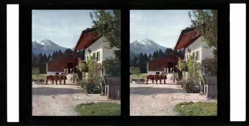 Stereo-Fotografie Chromoplast No. 8, Ansicht Berchtesgaden, Bauernhaus in der Au