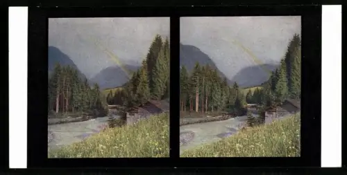 Stereo-Fotografie Chromoplast No. 2, Weg zum Freibergsee bei Oberstdorf