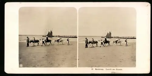 Stereo-Fotografie NPG, Ansicht Norderney, Eselritt am Strande