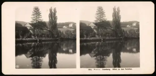Stereo-Fotografie NPG, Ansicht Ilsenburg, Blick nach dem Hotel zu den Forellen