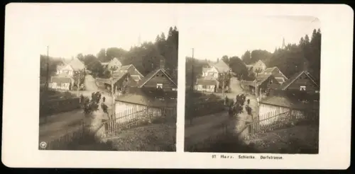 Stereo-Fotografie NPG, Ansicht Schierke, Blick in die Dorfstrasse mit Viehherde