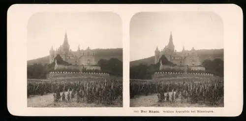 Stereo-Fotografie NPG, Ansicht Bad Hönningen, Blick nach dem Schloss Arensfels mit Weinreben