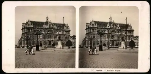 Stereo-Fotografie NPG, Ansicht Anvers, L`Athenee royal