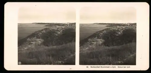 Stereo-Fotografie NPG, Ansicht Westerland, die Dünen bei List