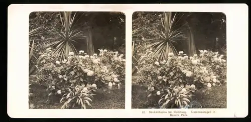 Stereo-Fotografie NPG, Ansicht Dockenhuden bei Hamburg, Blumenanlagen in Bauers Park