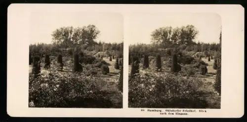 Stereo-Fotografie NPG, Ansicht Hamburg, Blick nach dme Eingang des Ohlsdorfer Friedhof