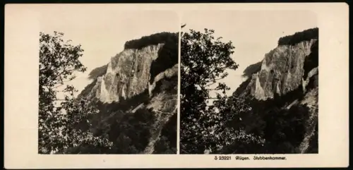 Stereo-Fotografie NPG, Ansicht Stubbenkammer, Blick nach den Kreidefelsen