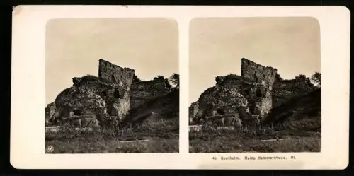 Stereo-Fotografie NPG, Ansicht Bornholm, die Ruine Hammershuus