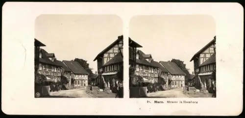 Stereo-Fotografie NPG, Ansicht Ilsenburg / Harz, Strassenpartie mit Hotel zum Ilsenthal und Logierhaus