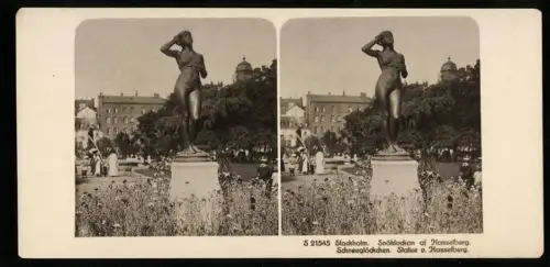 Stereo-Fotografie NPG, Ansicht Stockholm, Snöklockan af Hasselberg