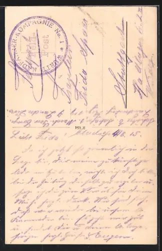 AK Mülhausen i. E., Totalansicht der Teufelsturmschule