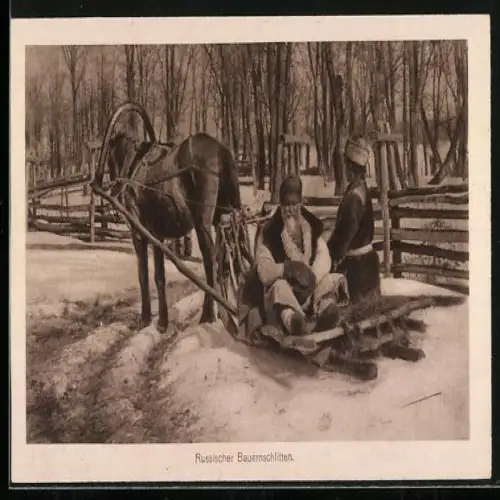 AK Russischer Bauern-Schlitten