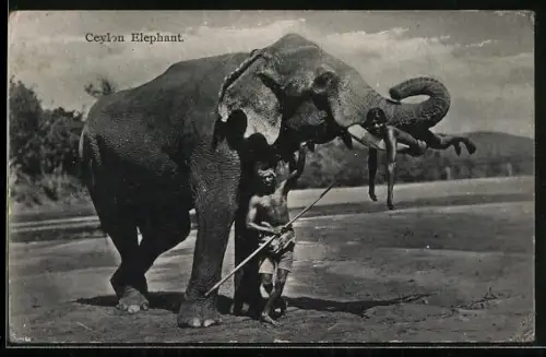 AK Sri Lanka, Tempel-Elefant mit Kindern