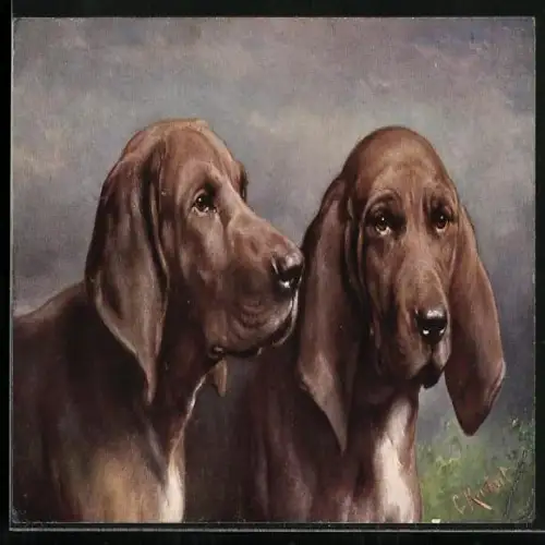 Künstler-AK Carl Reichert: St. Hubertus Hunde